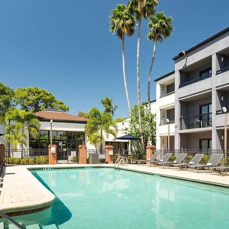 Courtyard St. Petersburg Clearwater Hotel Exterior photo